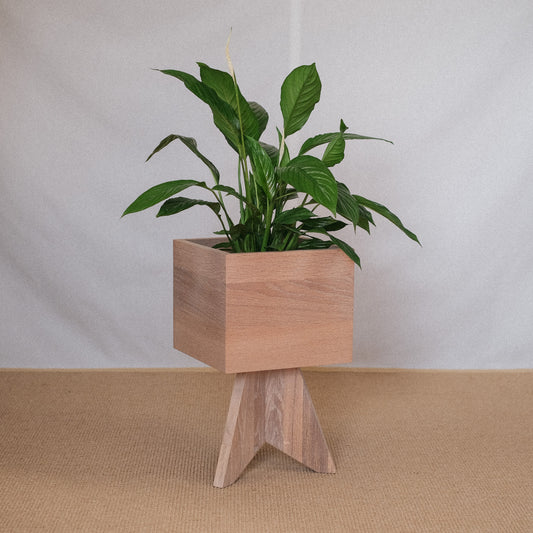 WTG x HOLDHOLD Planter Oak