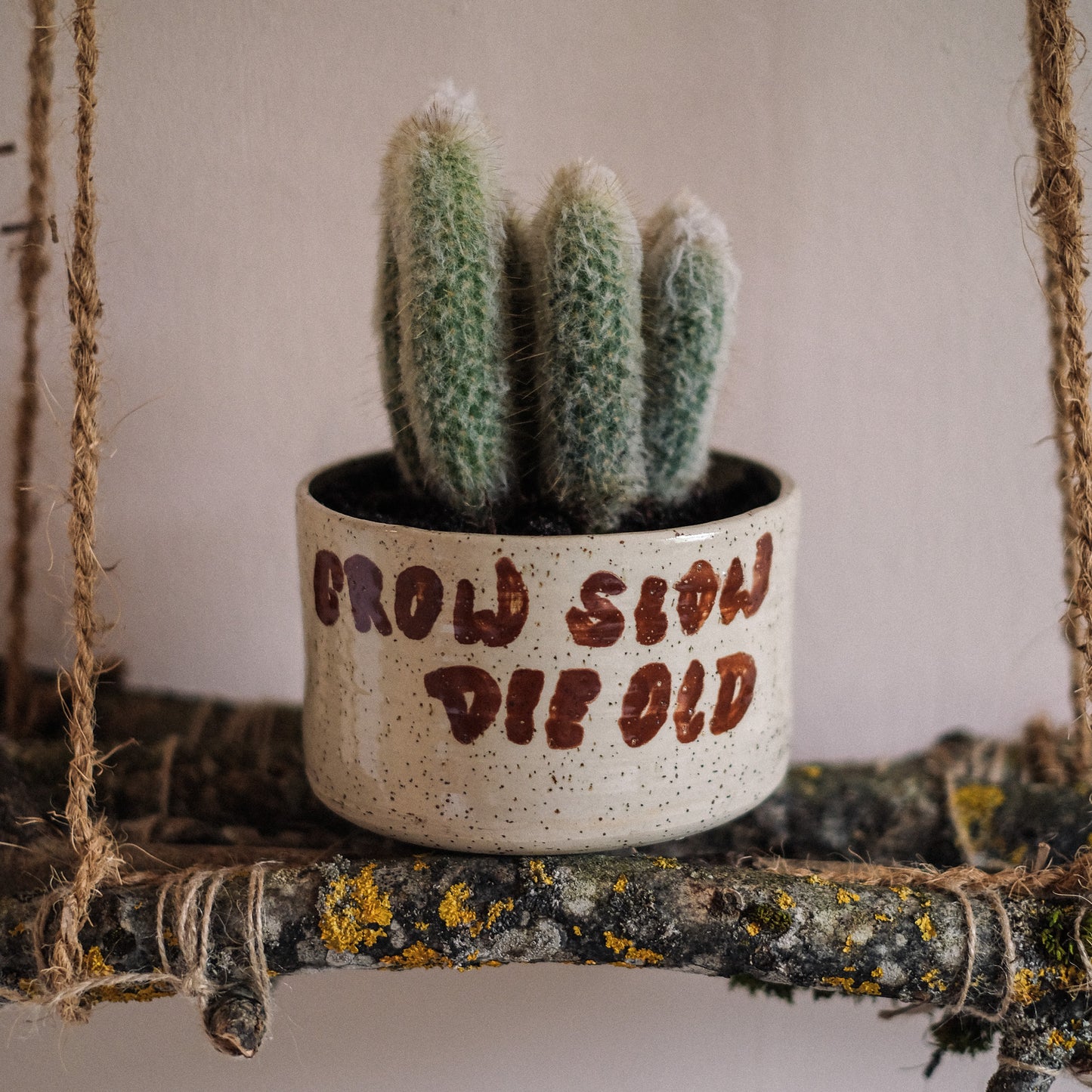WTG x Studio Moki Plant Pot Grow Slow Speckled