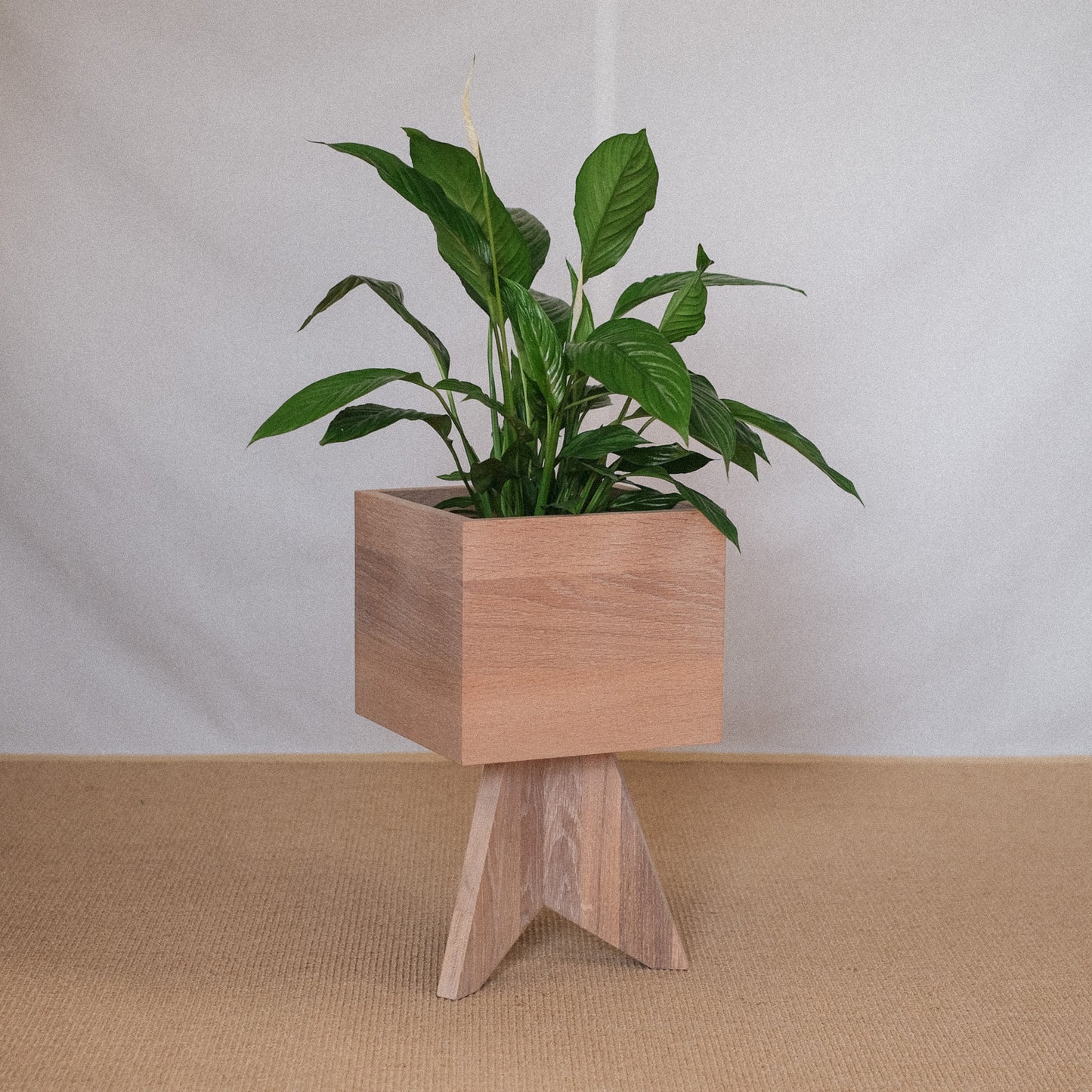 WTG x HOLDHOLD Planter Oak